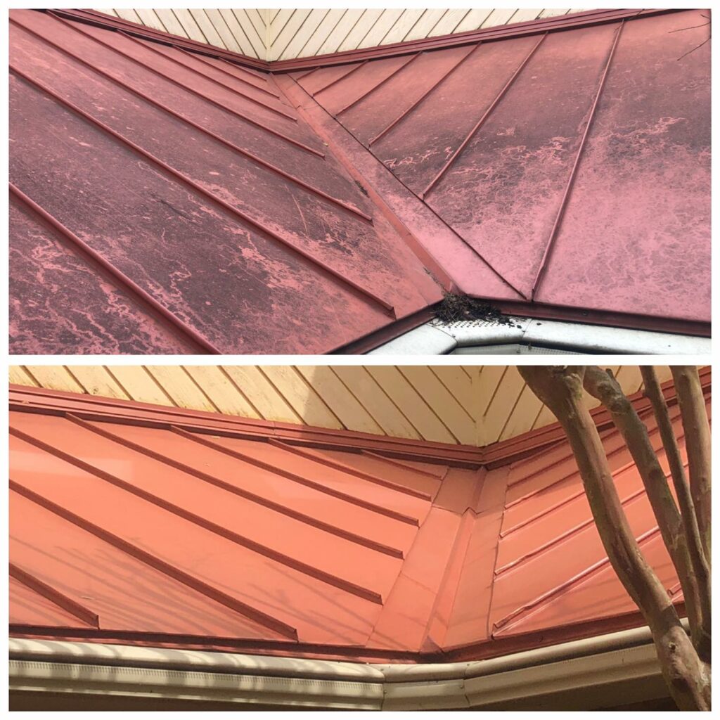 roof cleaning Selma TX